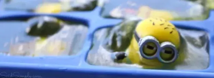 Michael Meehan's Minions | Polar Plunge for Special Olympics Ontario